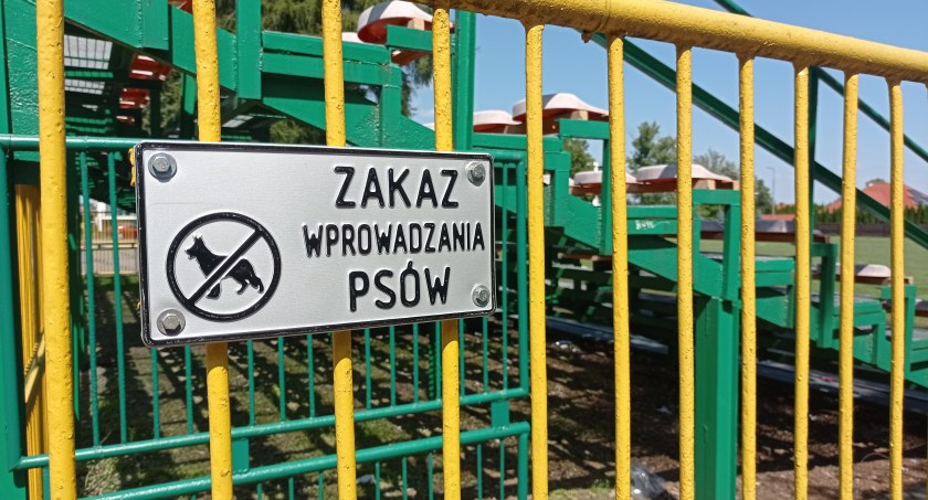 Psy na stadion wstępu nie mają