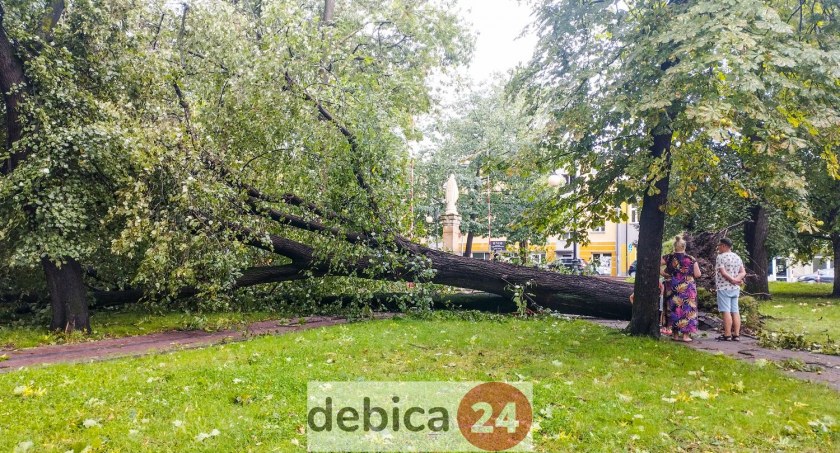 Krajobraz po nawałnicy: setki złamanych drzew [ZDJĘCIA, WIDEO]