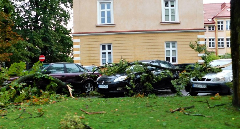 Pod Ratuszem gałęzie spadały na auta - zdjęcia