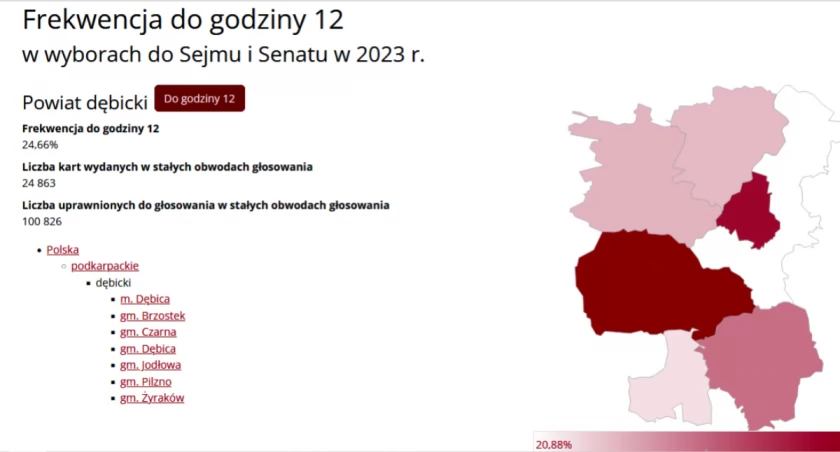 Najwyższa frekwencja w Pilźnie, najniższa w gminie Dębica