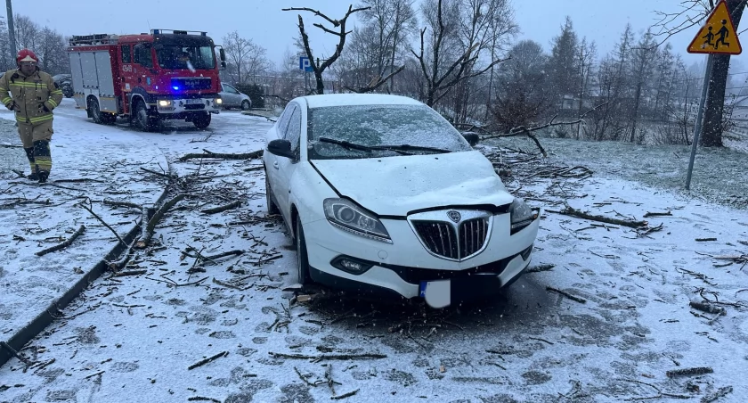 Złamane drzewo spadło na samochód