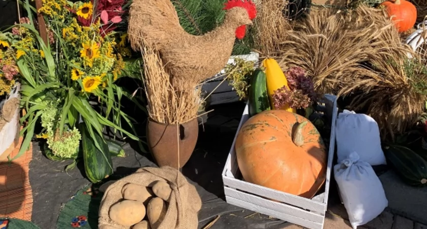 Także nasi rolnicy wyjadą jutro na drogę w proteście