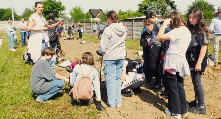 Najstarsza polska odmiana jabłoni rosnąć będzie przy Kwiatkowskiego (zdjęcia)