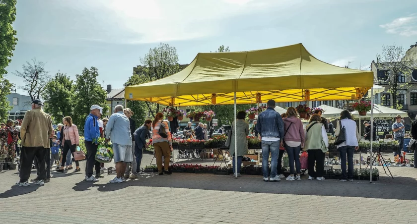 Festiwal Kwiatów kolejny raz w Dębicy