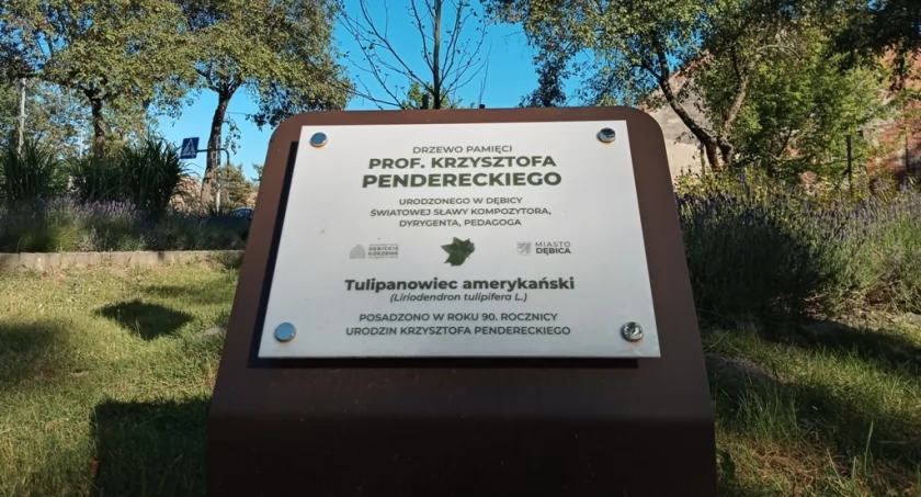 Drzewo pamięci, tablica niepamięci