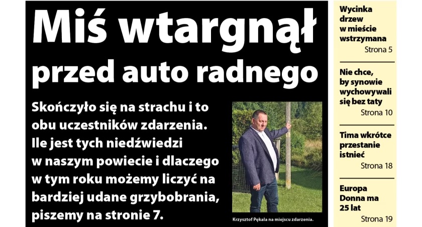 Miś przed maską auta radnego, złe znaki - ciągłe wypadki, o tym piszemy w Obserwatorze Lokalnym