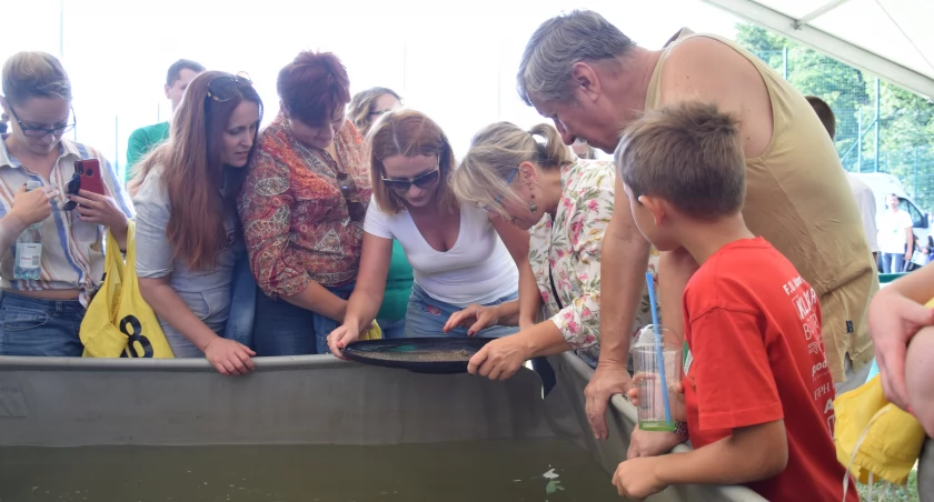 Gorączka złota rozpali osadę Gumniska