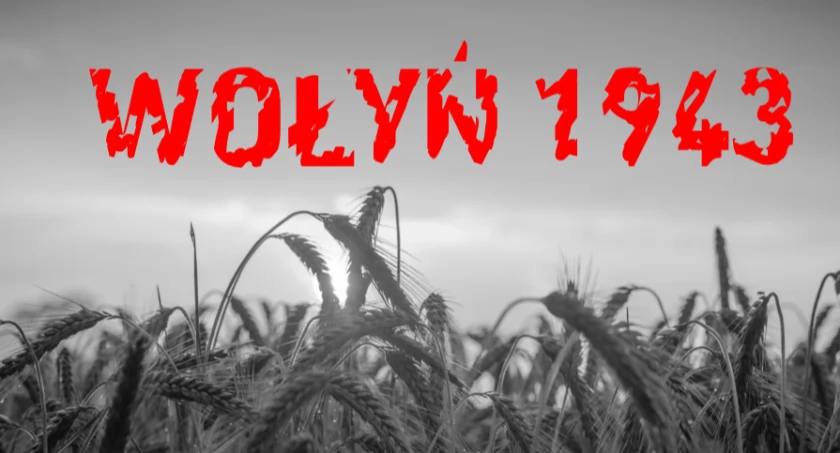 Dębickie ślady wołyńskie