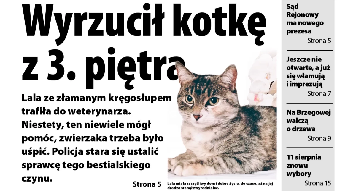 Dębica bez perspektyw - twierdzą młodzi