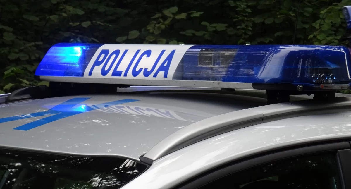 Cofając uderzyła w ogrodzenie. Była pijana