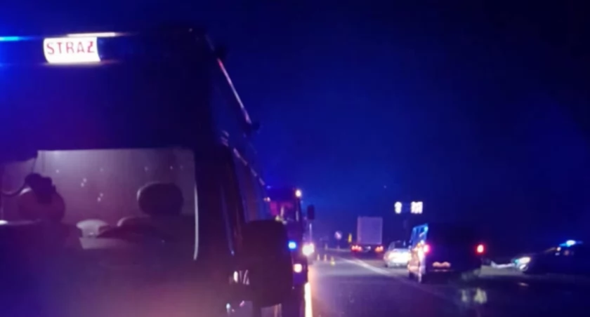 Potrącił jelenia, zostawił auto i poszedł do domu