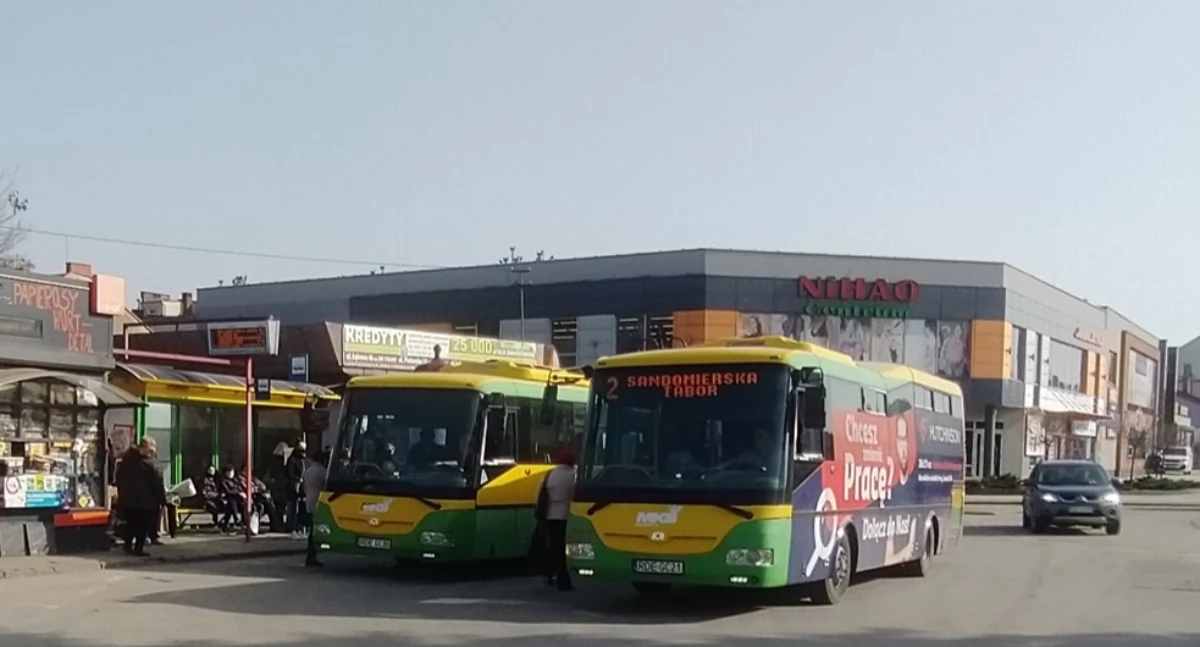 Darmowe autobusy w Dębicy. Wiemy kiedy!