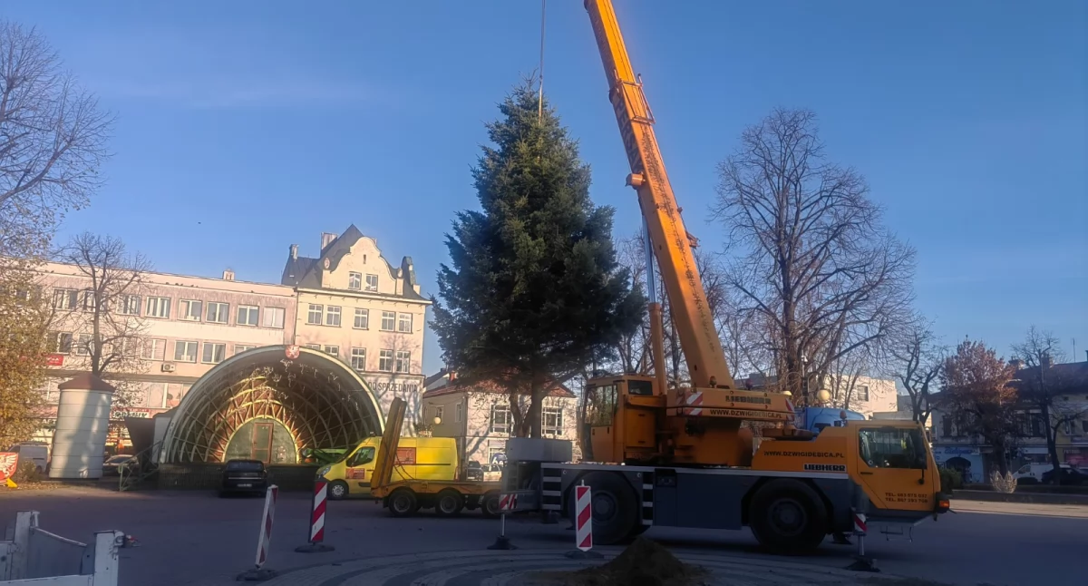 Na Rynku już świątecznie. Wczoraj przyjechała choinka