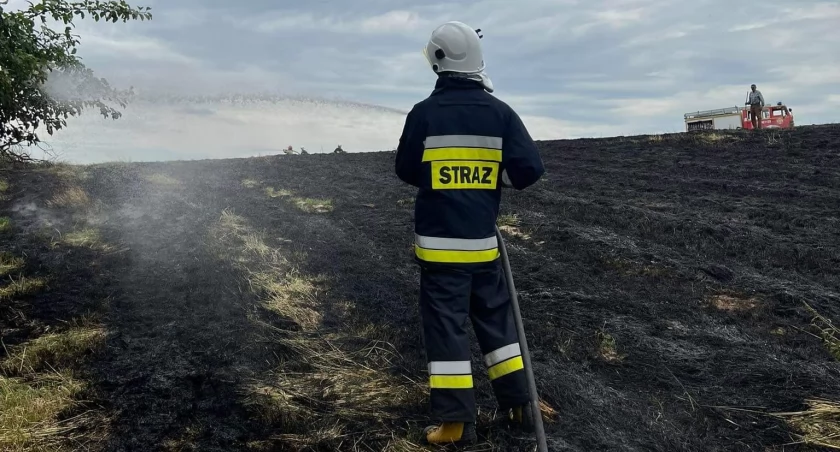 Strażacy wyjeżdżali aż pięć razy