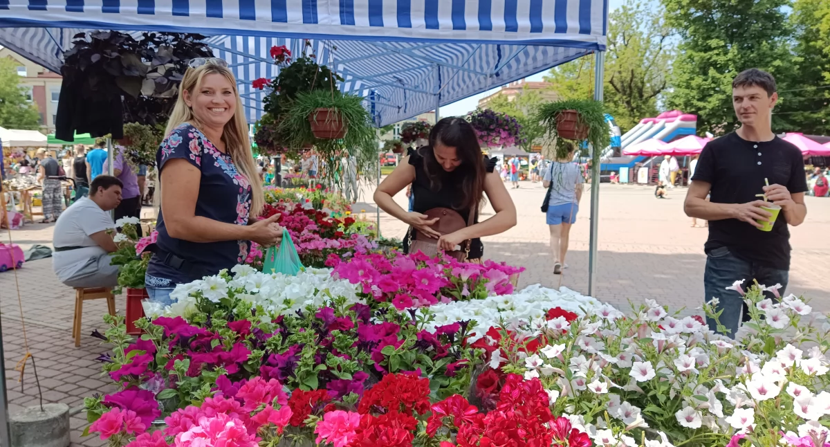 Wracają wyprzedaże, będzie Festiwal Kwiatów