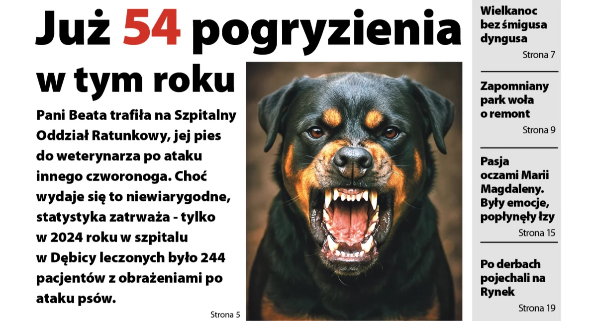 Te statystyki zatrważają, ale nie kłamią - czytaj w najnowszym tygodniku Obserwator Lokalny