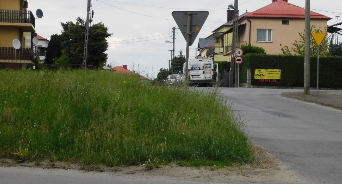 Trawa jest już tak wysoka, że niewiele zza niej widać