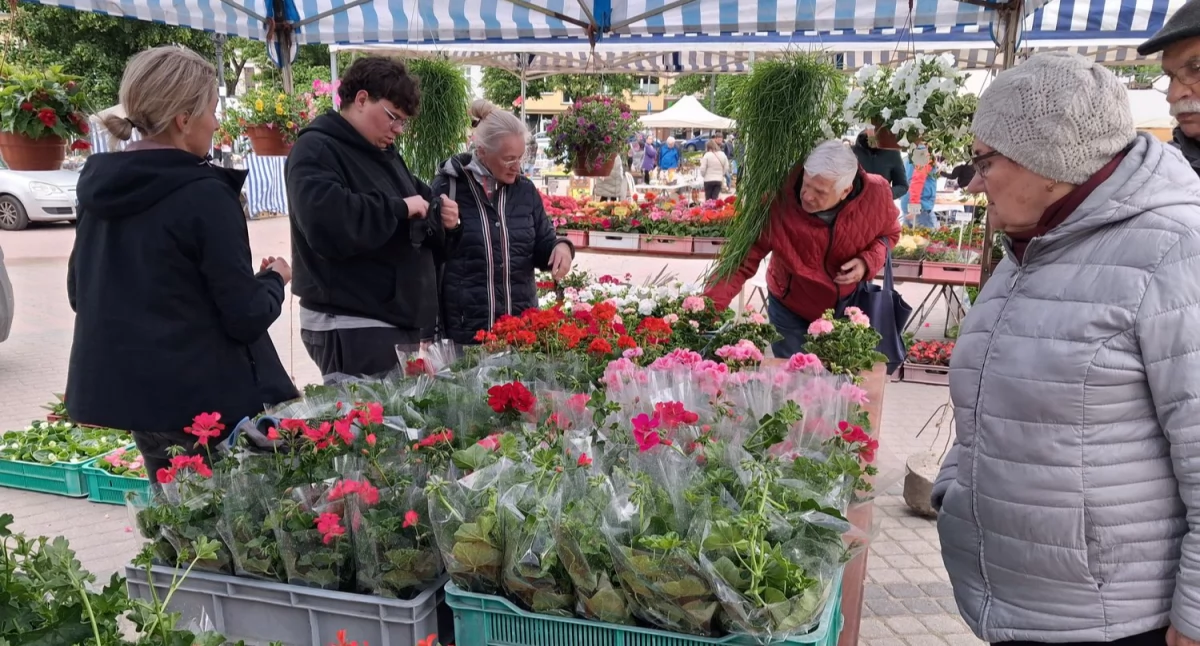 Trzeci Festiwal Kwiatów za nami [ZDJĘCIA, WIDEO]