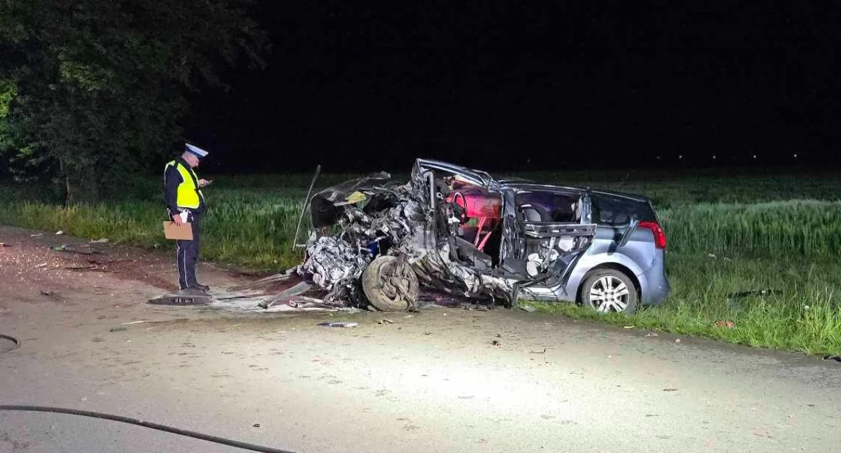 Kierowca był zakleszczony w pojeździe [ZDJĘCIA]