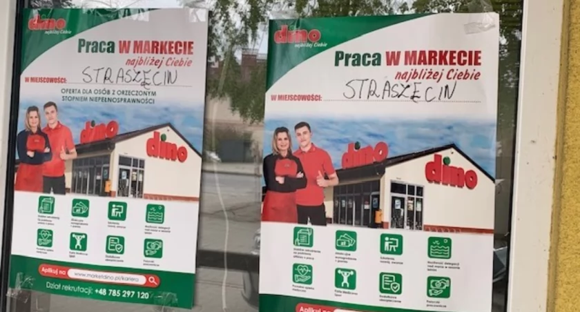 Tu będzie Dino - wkrótce przyjęcia do pracy