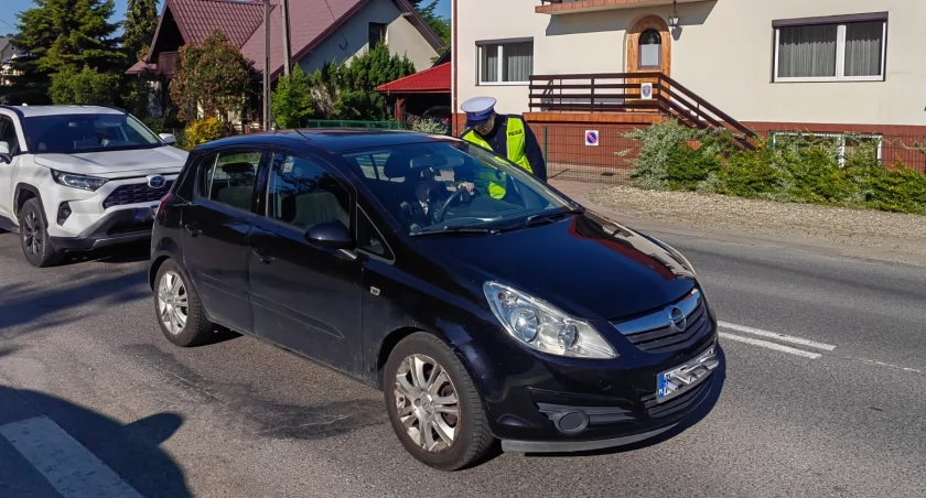 Kierowca wpadł wcześnie rano w Stasiówce