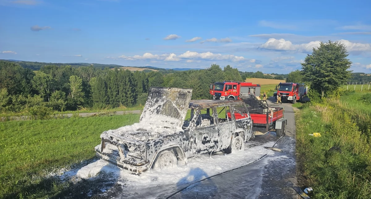 Jedna osoba poparzona, samochód spłonął [ZDJĘCIA]