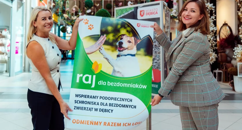 Raj dla bezdomniaków – wspólna inicjatywa Galerii Raj i Urzędu Miasta Dębica na rzecz zwierząt
