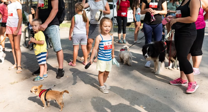 Spacer z psami i atrakcjami