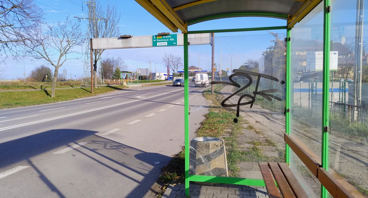Na przystankach zamontowali fotopułapki