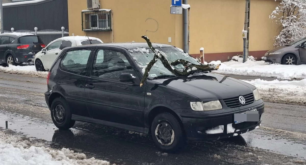 Na samochód spadł konar. Jedna osoba ranna [ZDJĘCIA]