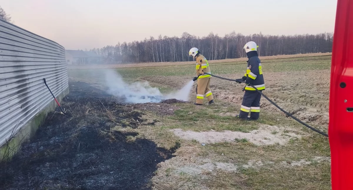 Ktoś podpalił trawę. Ogień przeniósł się na teren firmy