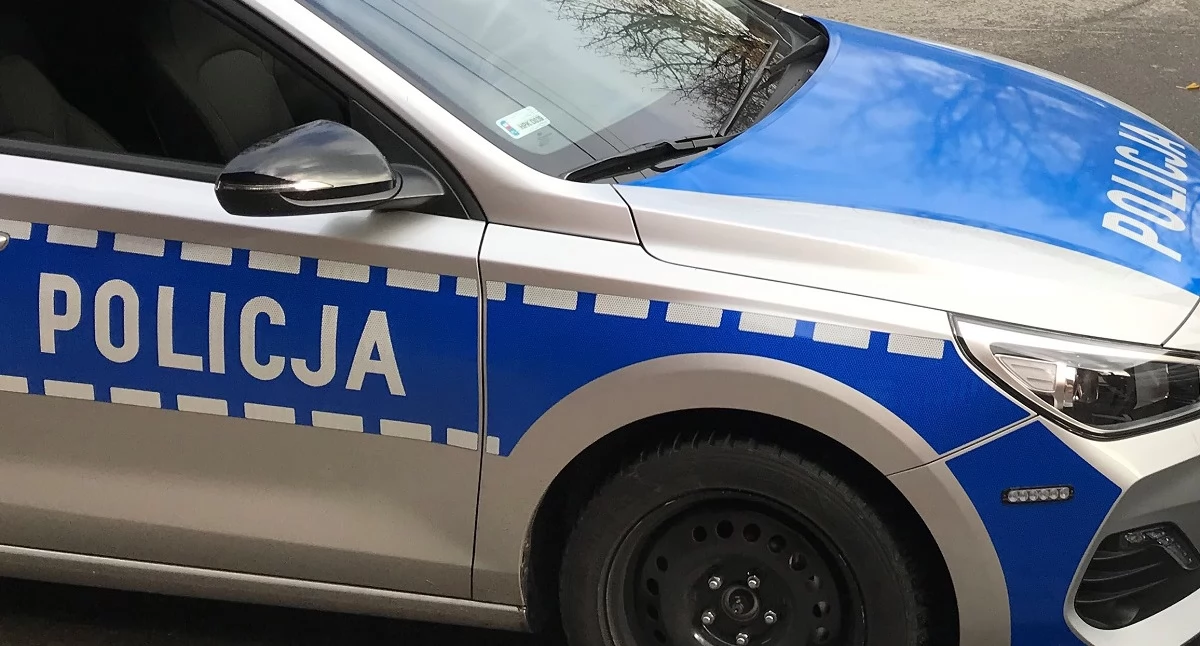 Agresja wśród młodzieży na Podkarpaciu. 17-latek zatrzymany, sprawcy z Dębicy poszukiwani
