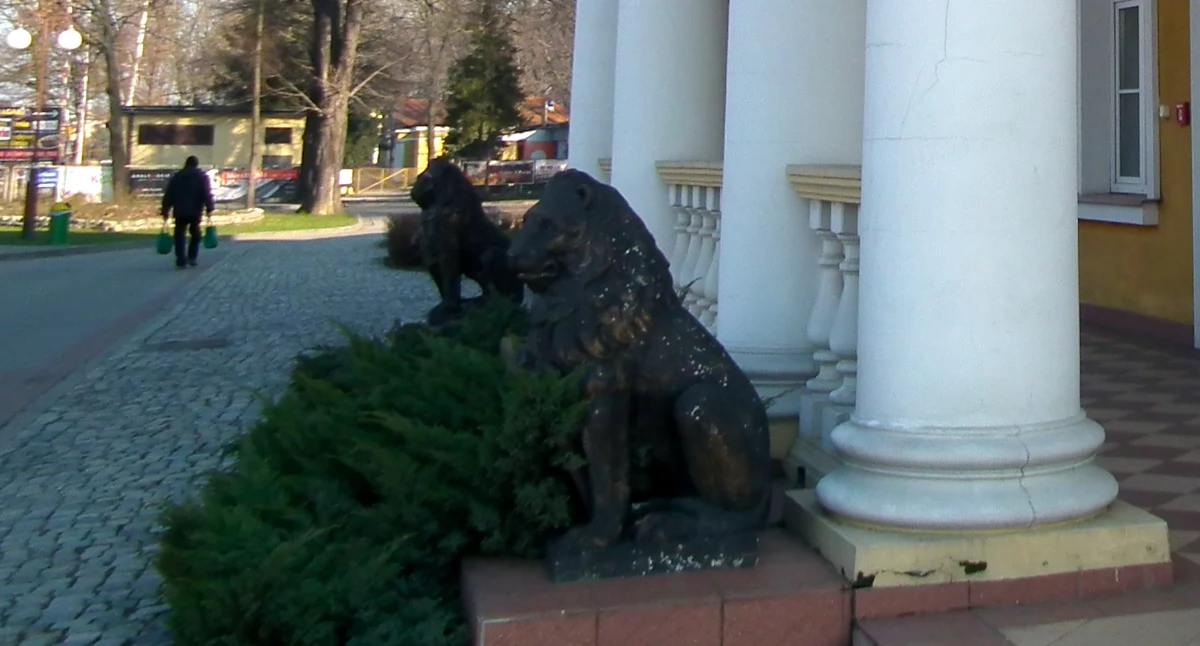 Co się stało z lwami sprzed Ratusza? Zastąpiły je japońskie rynny