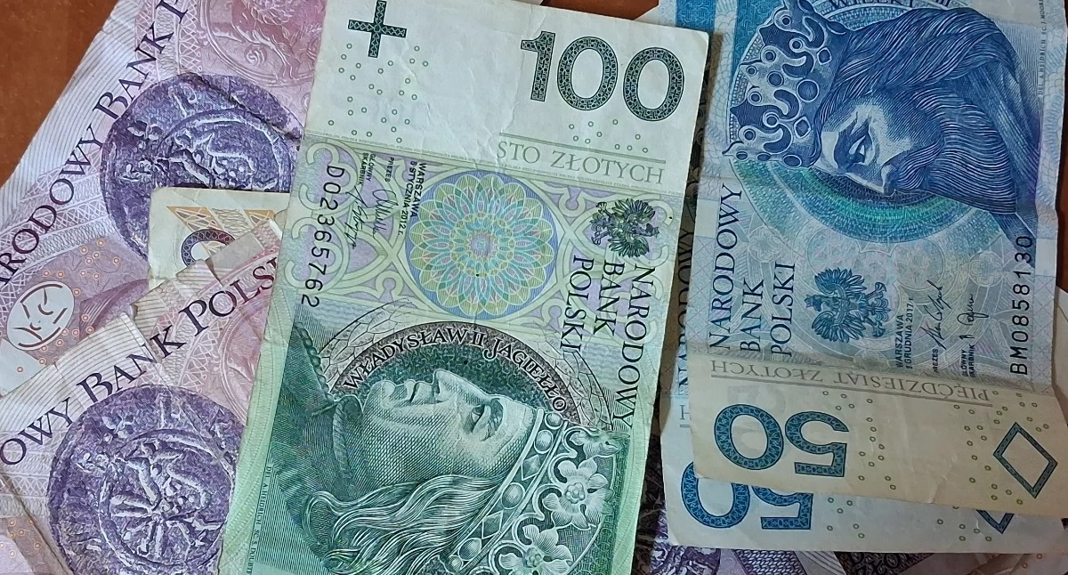 Nawet 8 tys. zł dofinansowania. Dzisiaj ruszył nabór wniosków