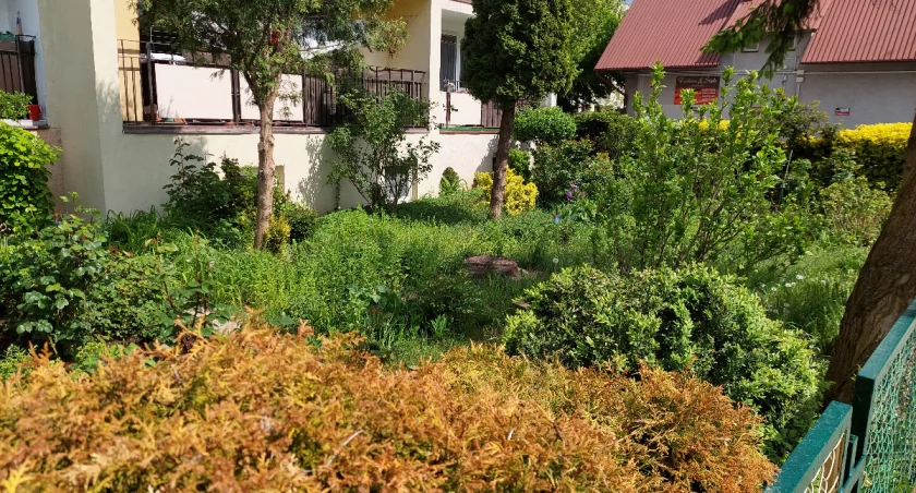SM Igloopol ogłasza konkurs na najładniejszy ogródek