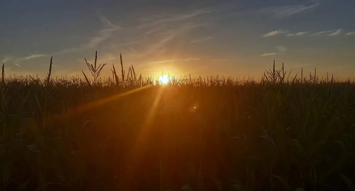 Fala upałów nadciąga nad nasz powiat. W niedzielę silne burze