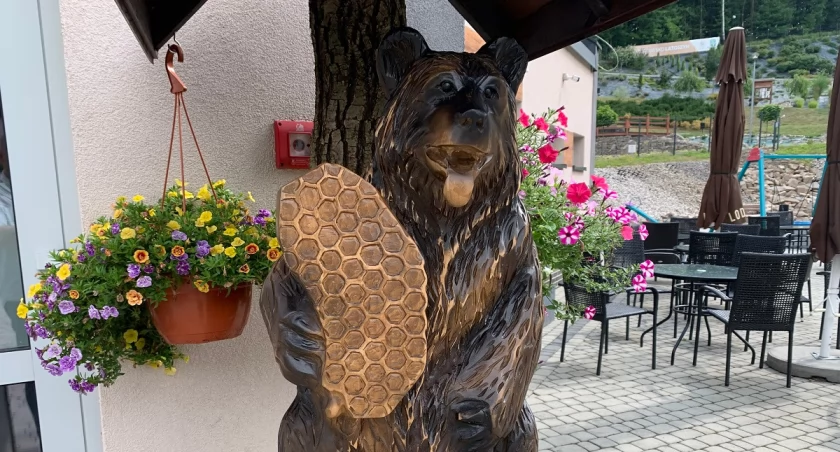 Jakie imię dla misia? Pomóż wybrać