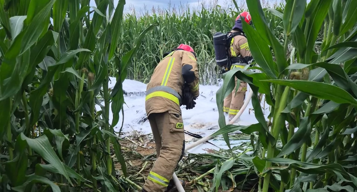 Płonąca awionetka lądowała na polu kukurydzy