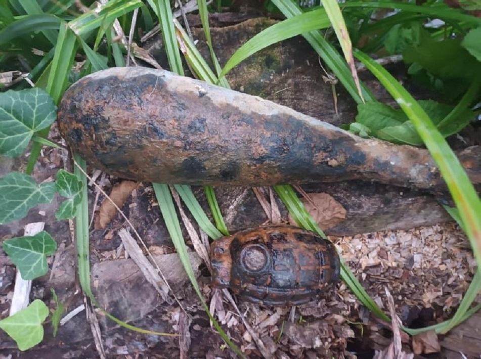 W lesie znaleźli bombę Millsa i nie tylko
