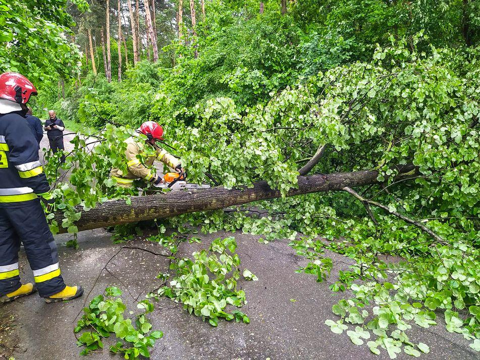 Połamane drzewa i słupy. Trwa usuwanie skutków nawałnicy - zdjęcia