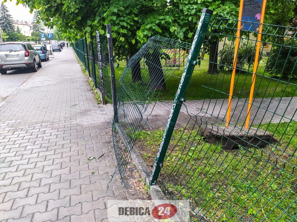 Nocna libacja w parku zakończona dewastacją - zdjęcia