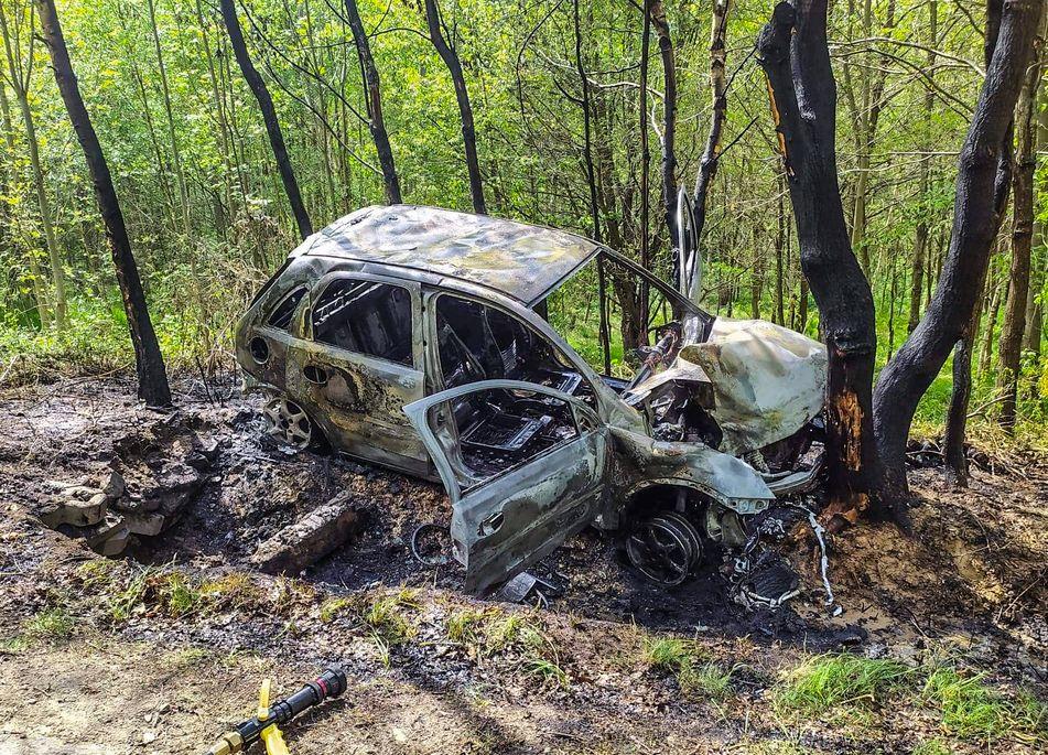 Uderzył w drzewo, auto spłonęło doszczętnie - zdjęcia