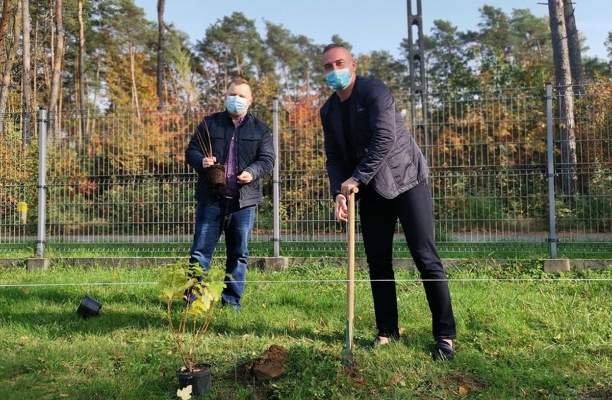 Platforma sadzić będzie nie tylko w Dębicy, ale i w Latoszynie
