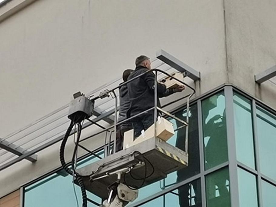 Budki dla jerzyków już wiszą
