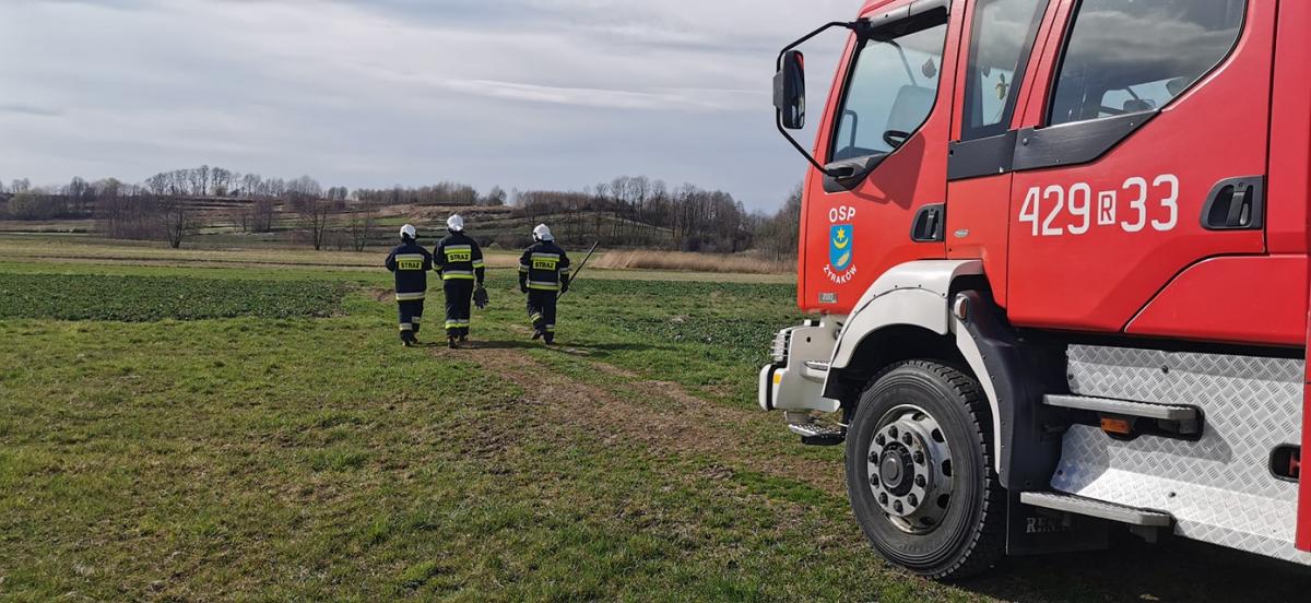 Trzy pożary traw jednego dnia
