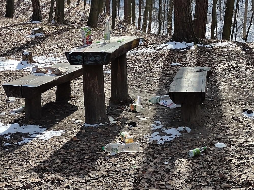 Przyjdź do lasu, samo się nie posprząta