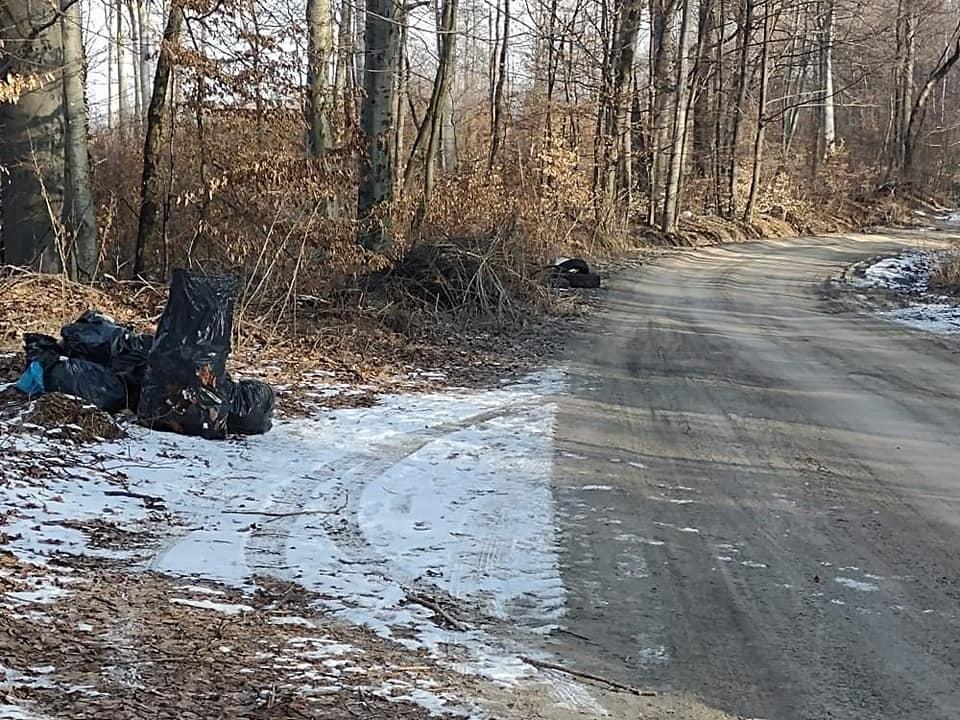 Jedni sprzątają, inni nadal śmiecą