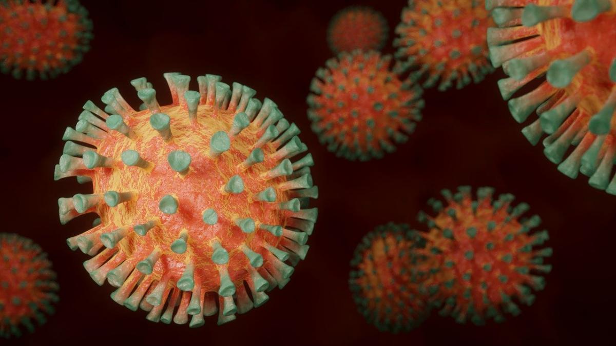 Koronawirus: pozytywny wynik dawał co dziesiąty test