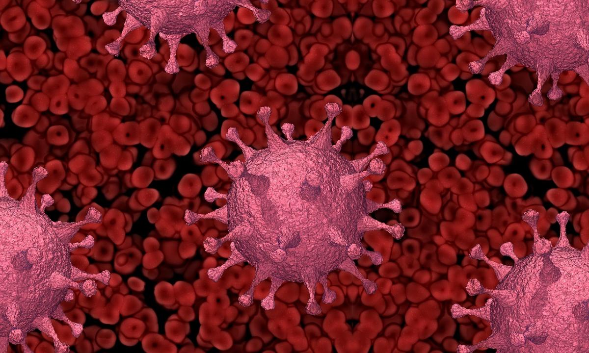 Koronawirus: wzrost zakażeń w powiecie