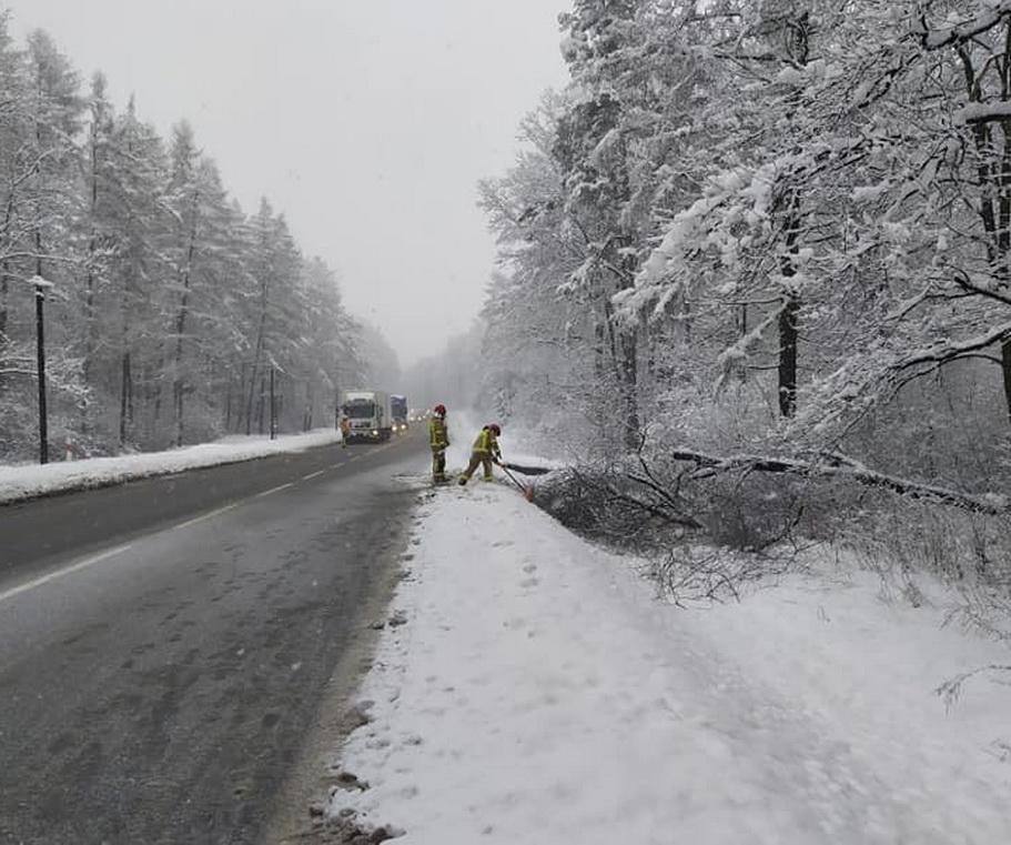 Strażacy usuwali połamane drzewa i odśnieżali dach